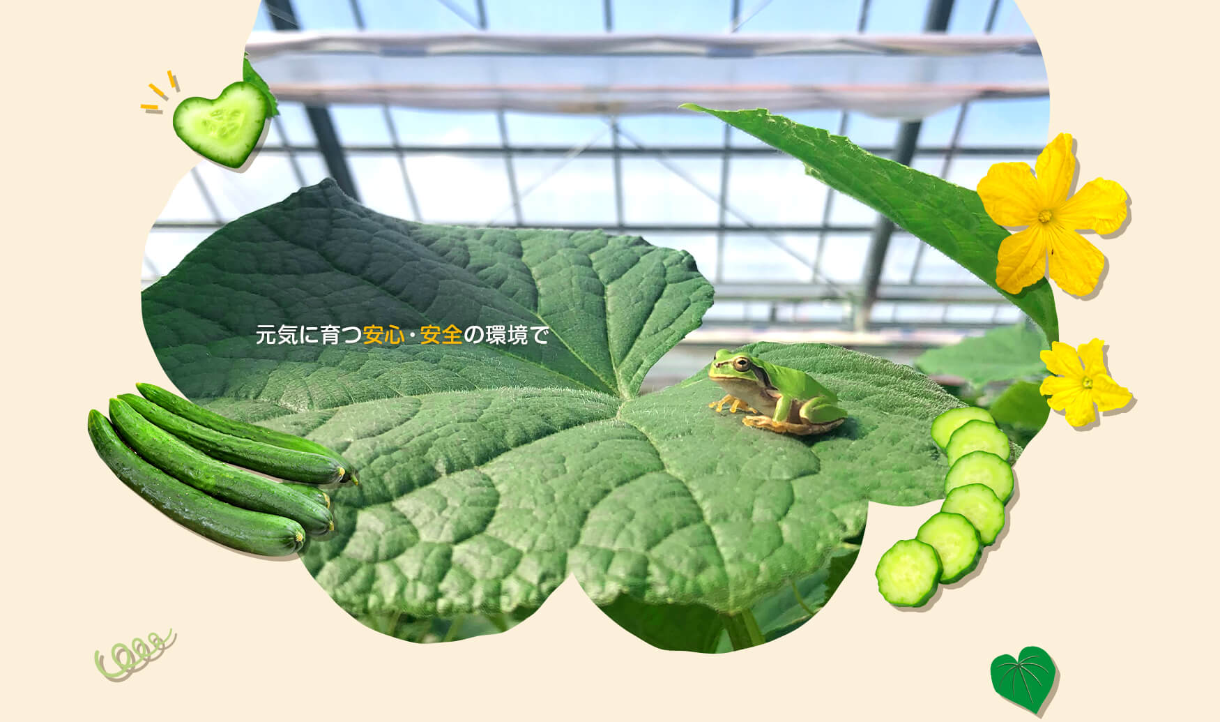 元気に育つ安心・安全の環境で